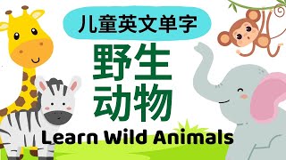 Learn Wild Animals in English amp Chinese Lion Tiger｜幼儿英文单词｜野生动物词汇｜Bilingual Vocabulary for Kids [upl. by Misab]