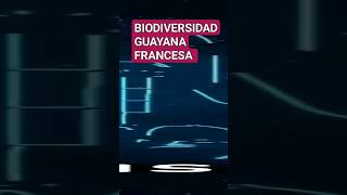 Biodiversidad Guayana Francesa shorts guayana francesa [upl. by Hebert]