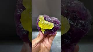 From ZhejiangChina Yellow globular fluorite is associated with purple fluoritefluorite minerals [upl. by Sehcaep]