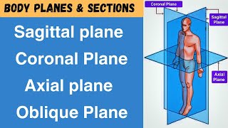 Body planes amp Sections  Sagittal coronal axial Oblique ll Anatomy amp physiology ll [upl. by Llednek671]