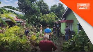 66 laporan pokok tumbang susulan hujan lebat angin kencang di Pulau Pinang [upl. by Macfadyn]