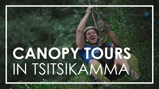 Tsitsikamma Canopy Tour Experience on Garden Route  Rhino Africa [upl. by Animsaj93]