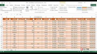 Excel  3 Avancé  Cours Tableau Croisé Dynamique 1 [upl. by Nagaek]