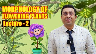 Morphology of Flowering Plants l lecture 2 l Biology l NEET [upl. by Yliab]