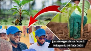 🟢journée régionale de l’arbre à Ndiagne du 04 Août 2024 [upl. by Adliwa629]