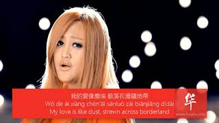 Learn Chinese by Songs  JiaJia  Dust with lyrics translated [upl. by Ettenel672]