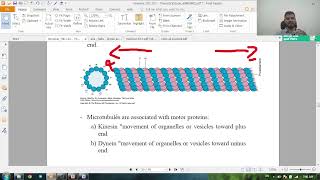 general histology revision  microtubules and epithelium [upl. by Sephira]