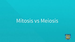 Mitosis vs Meiosis SUPER SIMPLE [upl. by Flower38]