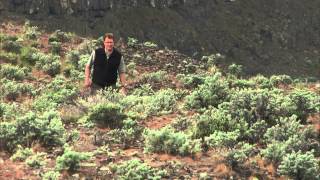 Roadside Geology  Frenchman Coulee [upl. by Alial936]