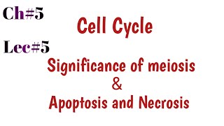 Significance of meiosis amp Apoptosis and Necrosis in urduhindi [upl. by Enymsaj]