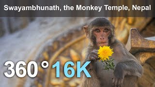 Swayambhunath the Monkey Temple Kathmandu Nepal 16K 360 video [upl. by Leirum850]