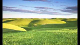 Steve Morse  Cool Wind Green Hills avi [upl. by Eilyw]