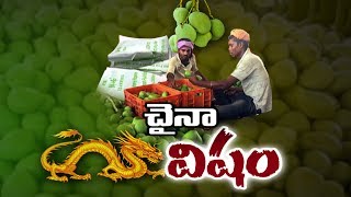 Beware Caution Against Artificial Ripening of Mangoes  Watch Exclusive [upl. by Handbook]