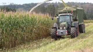 Maishäckseln 2014 Teil 1 mit Fendt MB Trac 1600 JCB Deutz [upl. by Lubbock]