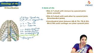 2 Osteology of ribs  Anatomy  MBBS Lecture [upl. by Nitsoj]