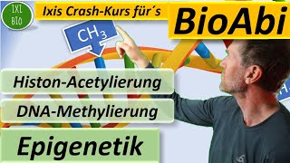 Epigenetik  HistonAcetylierung und DNAMethylierung detailliert und mit Anwendungsaufgabe BioAbi [upl. by Auvil877]