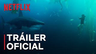 En las profundidades del Sena  Tráiler oficial  Netflix [upl. by Ahsac]