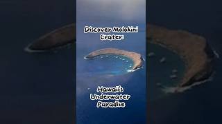 Discover Molokini Crater Hawaiis Underwater Paradise [upl. by Delphina949]