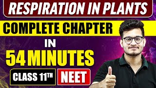 RESPIRATION IN PLANTS in 54 Minutes  Full Chapter Revision  Class 11 NEET [upl. by Adnola564]