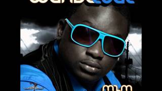 Wande Coal  Kiss Your Hand [upl. by Manno]