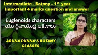 Intermediate 1st year BOTANY  Euglenoids Characters  Aruna Punna [upl. by Alvar]