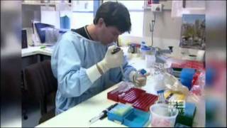 New melanoma treatments  Channel 9 News Sydney [upl. by Idnil]