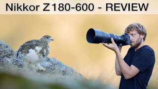 The perfect allround zoom for wildlife photographers Nikon Z180600mm Review [upl. by Nmutua]