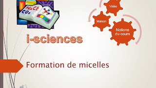 Formation de micelles [upl. by Delaney]