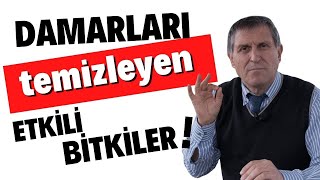 DAMARLARI TEMİZLEYEN BİTKİLER YİYECEKLER  DAMARLARI AÇAN BESİNLER GIDALAR [upl. by Adym804]