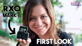 SMALLEST VLOGGING CAMERA  SONY RX0 II [upl. by Tootsie]