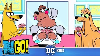 Teen Titans Go em Português  Animais vivos Parte II  DC Kids [upl. by Wilkison]