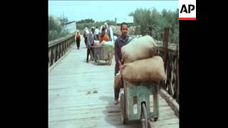 SYND 19031970 REFUGEES FROM JORDAN ARE RUFUSED CROSSING THE ALLENBY BRIDGE INTO ISRAEL [upl. by Dleifxam535]