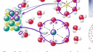 Solutions Part 2 Like Dissolves Like [upl. by Prosser]