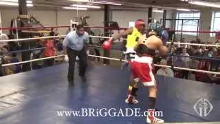 Frank Cariellos PA Golden Gloves 2014 Tournament 1 [upl. by Kip]