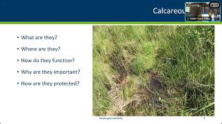 March 2024 Calcareous Fens  Identification Hydrology and Regulation [upl. by Trilley]