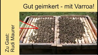 Gut geimkert  mit Varroa Eine Betriebsweise [upl. by Zerimar]