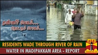 Residents Wade Through a River of Stagnant Rain Water in Madipakkam Area  Thanthi TV [upl. by Hallvard]