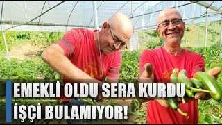 Emekli Oldu Sera Kurdu Çalıştıracak İşçi Bulamıyor  AGRO TV HABER [upl. by Ronn]