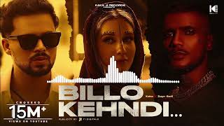 Billo Bagge Billieyan Da Ki Krengi Official sollow reverb Billo Kehndi Kaka Ji  Zayn Saifilofi [upl. by Dnanidref722]