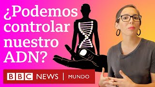 ¿Cómo podemos controlar nuestros genes  BBC Mundo [upl. by Tiertza]