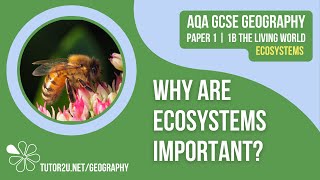 Why are Ecosystems Important  AQA GCSE Geography  Ecosystems 2 [upl. by Jaf]