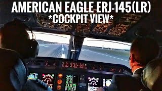 American Eagle ERJ145LR N602AE Cockpit Marquette to Chicago  FERRY FLIGHT [upl. by Solhcin]