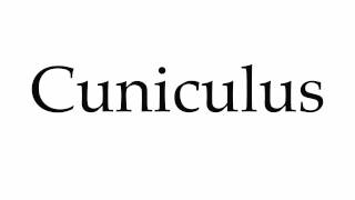 How to Pronounce Cuniculus [upl. by Aisanat]