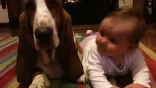 Basset hound and baby [upl. by Amabil456]