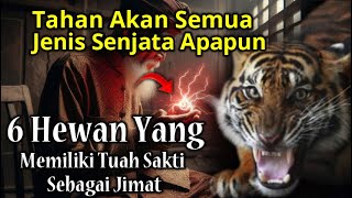 TAHAN DARI JENIS SENJATA APAPUN  6 Hewan Yang Memiliki Tuah Sakti Yang Digunakan Sebagai Jimat [upl. by Ovid]