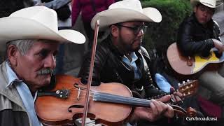 quotEl Ranchero Potosinoquot y quotLa Levaquot por el Trío Tordo Huasteco 2017 [upl. by Aekerly]