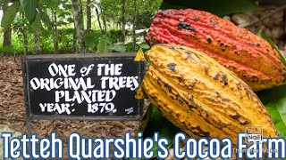 A Visit to Tetteh Quarshie Cocoa Farm  Mampong Akuapem Ghana [upl. by Keligot]