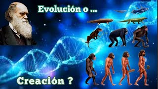 Evolución o Creación [upl. by Esertak585]