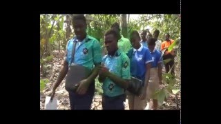 GTA Tours Tetteh Quarshie Cocoa Farm [upl. by Ahseenak748]