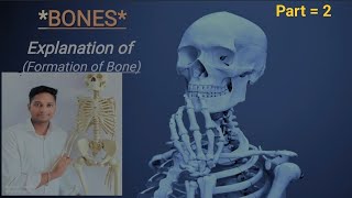 🦴 FORMATION OF BONE 🦴 [upl. by Aicirt]